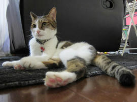 IMG05859.jpg
