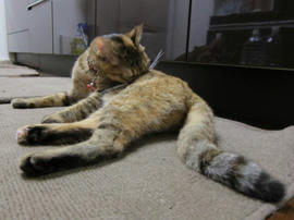 IMG05861.jpg