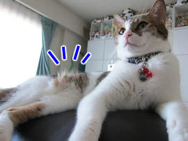 IMG05871.jpg