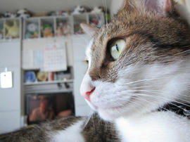 IMG05872.jpg