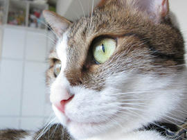 IMG05873.jpg
