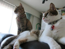 IMG05874.jpg