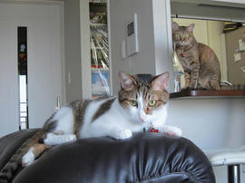 IMG05875.jpg