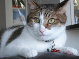 IMG05877.jpg