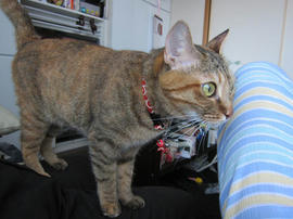 IMG05879.jpg