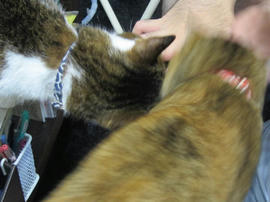 IMG05883.jpg
