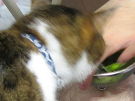 IMG05885.jpg