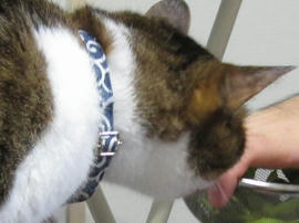 IMG05886.jpg
