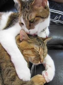 IMG05891.jpg