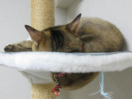 IMG05894.jpg