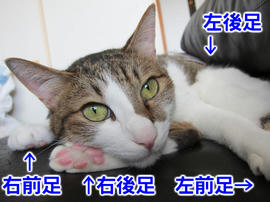 IMG05904.jpg