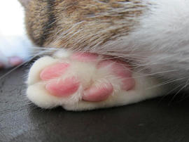 IMG05906.jpg