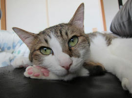 IMG05907.jpg