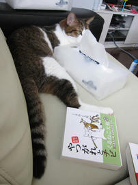 IMG05908.jpg