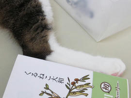 IMG05909.jpg