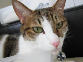 IMG05910.jpg
