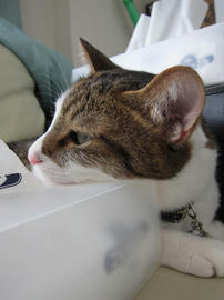 IMG05911.jpg