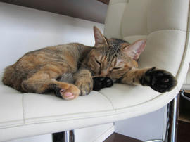 IMG05914.jpg