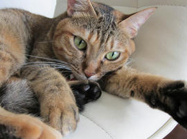 IMG05915.jpg