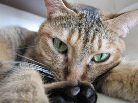 IMG05916.jpg