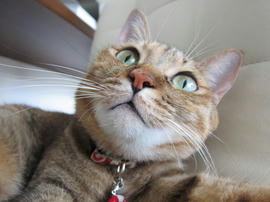 IMG05917.jpg