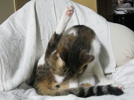 IMG05920.jpg
