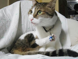 IMG05923.jpg