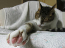 IMG05924.jpg