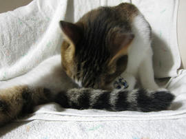 IMG05927.jpg