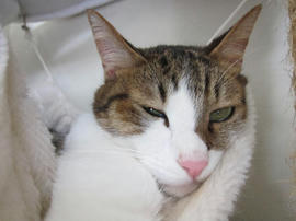 IMG05928.jpg