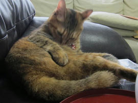 IMG05940.jpg