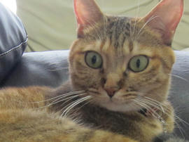 IMG05942.jpg