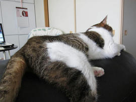 IMG05943.jpg