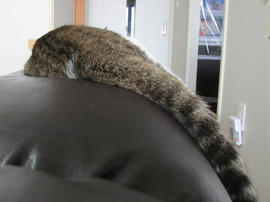 IMG05944.jpg
