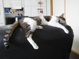 IMG05945.jpg