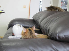 IMG05947.jpg