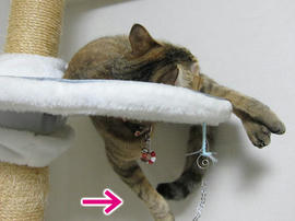 IMG05948.jpg