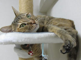 IMG05949.jpg