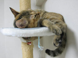 IMG05951.jpg