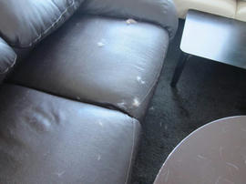 IMG05954.jpg