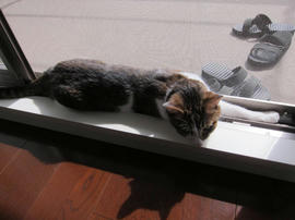 IMG05957.jpg