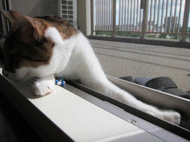 IMG05958.jpg