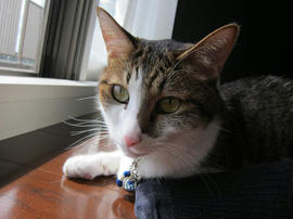 IMG05959.jpg