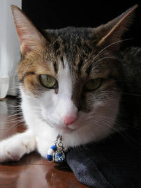 IMG05960.jpg