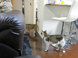 IMG05961.jpg