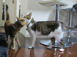 IMG05962.jpg