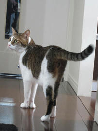 IMG05963.jpg