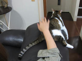 IMG05964.jpg