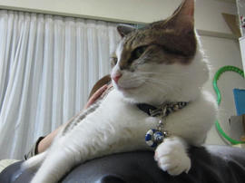 IMG05966.jpg