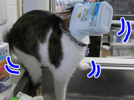 IMG05969.jpg